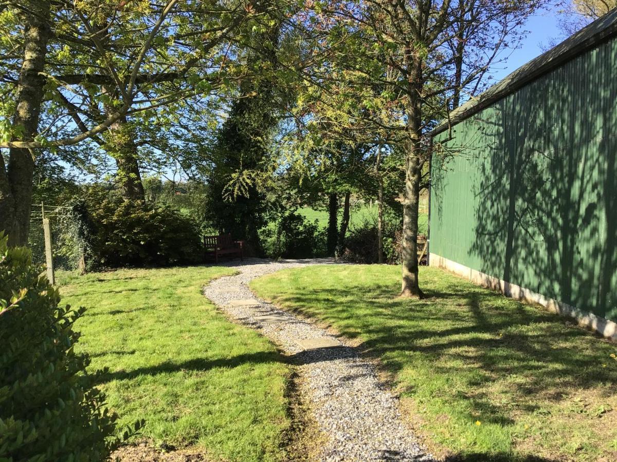 Orchard Grove Bed & Breakfast R21Rc58 Bagenalstown Dış mekan fotoğraf