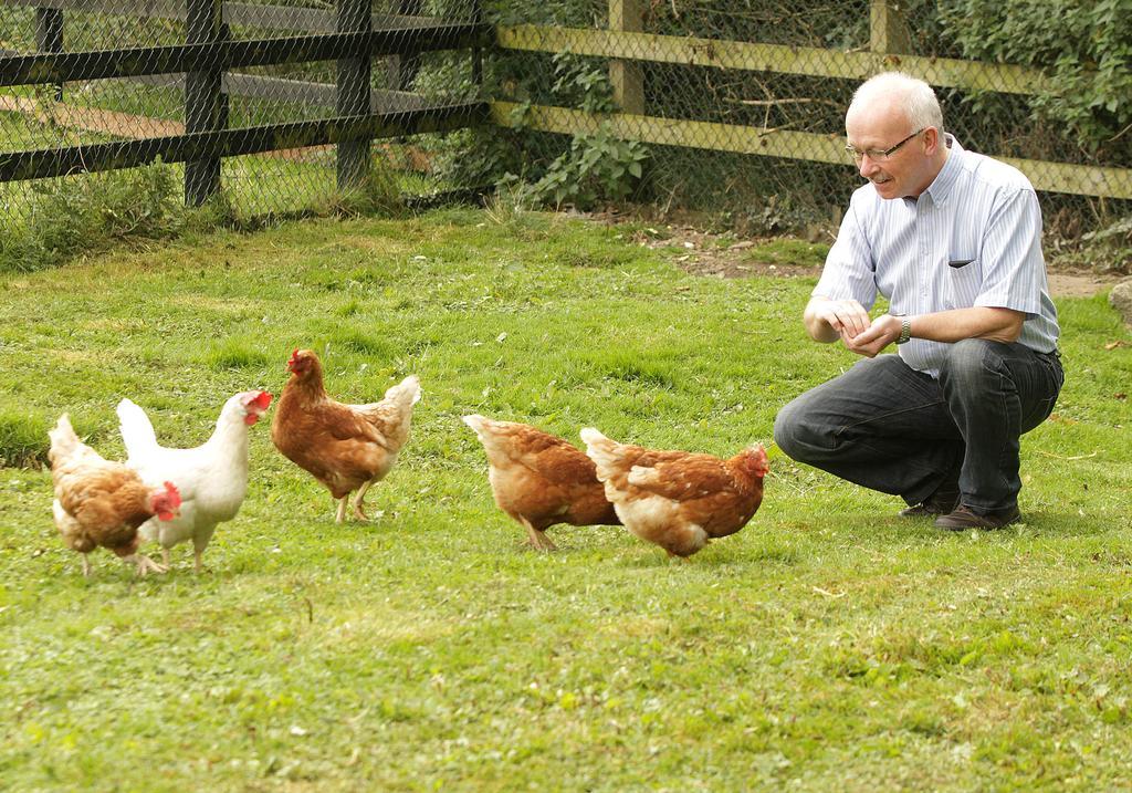 Orchard Grove Bed & Breakfast R21Rc58 Bagenalstown Dış mekan fotoğraf