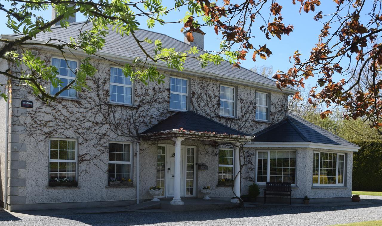 Orchard Grove Bed & Breakfast R21Rc58 Bagenalstown Dış mekan fotoğraf